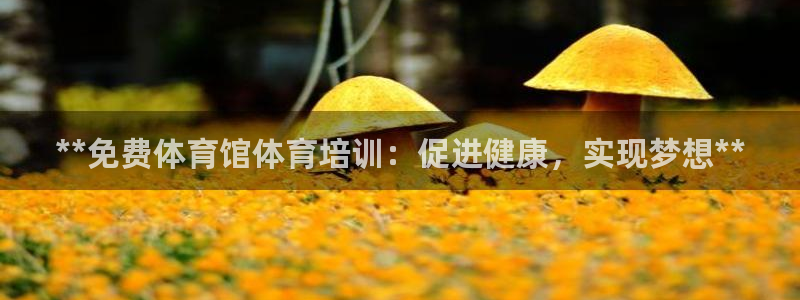 耀世天下的网名是什么意思啊男生：**免费体育馆体育培