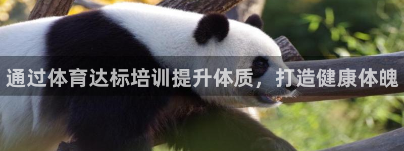 耀世娱乐下载链接安装不了：通过体育达标培训提升体质，