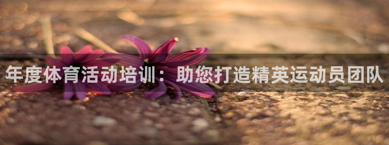 耀世平台代理注册登录不了：年度体育活动培训：助您打造