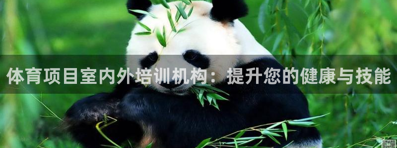 耀世国际平台正规吗可靠吗：体育项目室内外培训机构：提