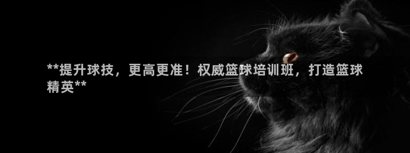 耀世平台代理：**提升球技，更高更准！权威篮球培训班