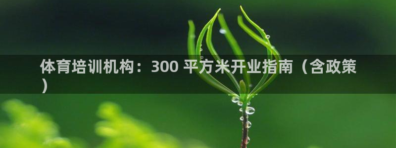 耀世娱乐注册资金多少：体育培训机构：300 平方米开