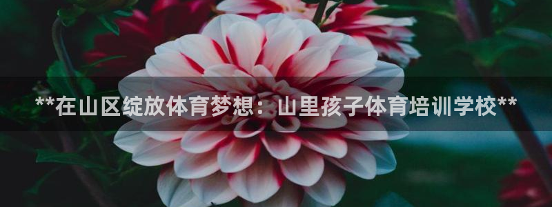 耀世微光 歌词