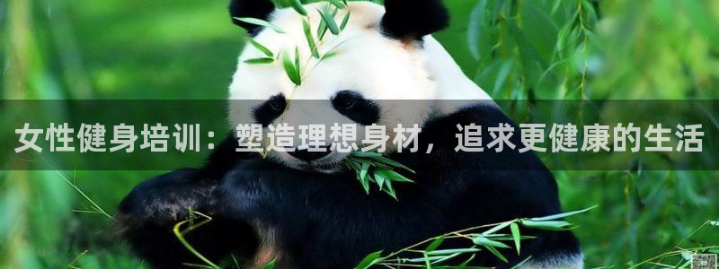 耀世娱乐软件下载安装