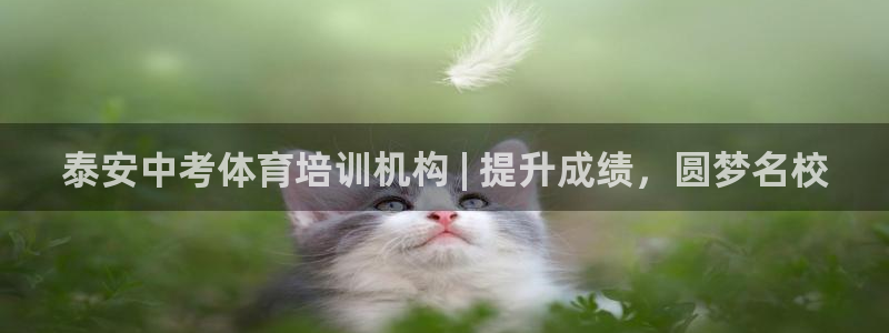 耀世娱乐招商注册 知乎：泰安中考体育培训机构 | 提