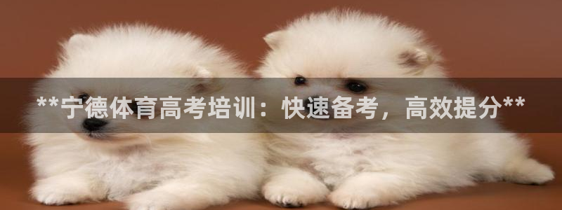 耀世娱乐客服：**宁德体育高考培训：快速备考，高效提分**