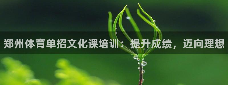 耀世平台app下载：郑州体育单招文化课培训：提升成绩，迈向理