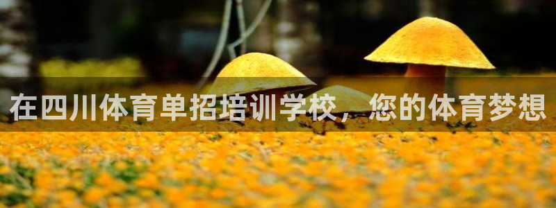 耀世平台开户联4.8.7.7.8.4他系稳定吗：在四川体育单