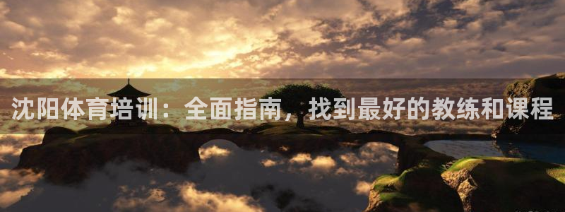 耀世平台人才：沈阳体育培训：全面指南，找到最好的教练和课程