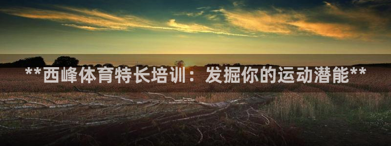 耀世娱乐可以玩吗：**西峰体育特长培训：发掘你的运动潜能**