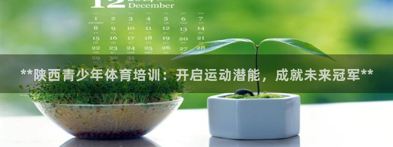 耀世平台注册链接怎么打开：**陕西青少年体育培训：开