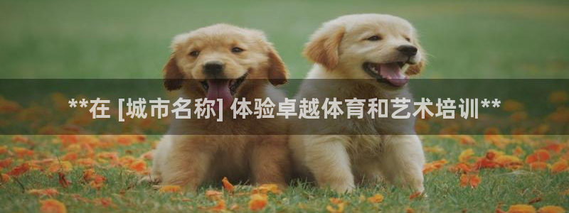 耀世集团员工福利待遇：**在 [城市名称] 体验卓越体育和艺