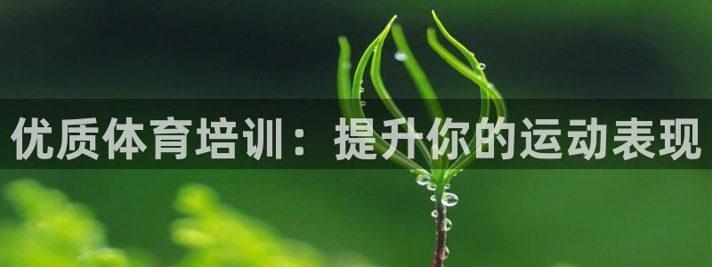 耀世娱乐出款快吗知乎：优质体育培训：提升你的运动表现