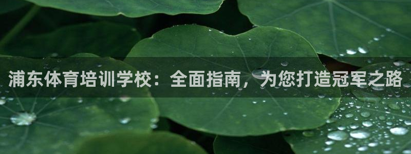 耀世集团视频直播在哪看：浦东体育培训学校：全面指南，