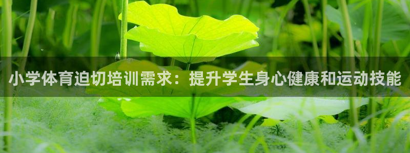 耀世璀璨：小学体育迫切培训需求：提升学生身心健康和运
