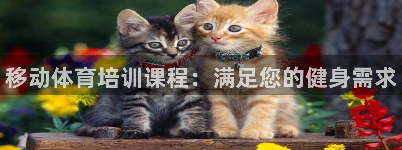 耀世集团是干嘛的：移动体育培训课程：满足您的健身需求