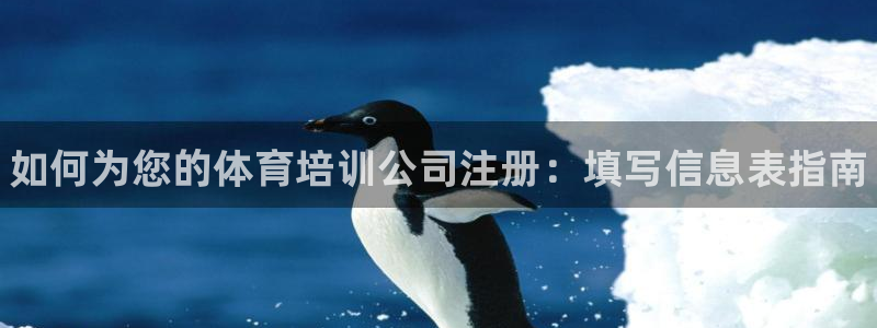 耀世平台注册开户流程：如何为您的体育培训公司注册：填