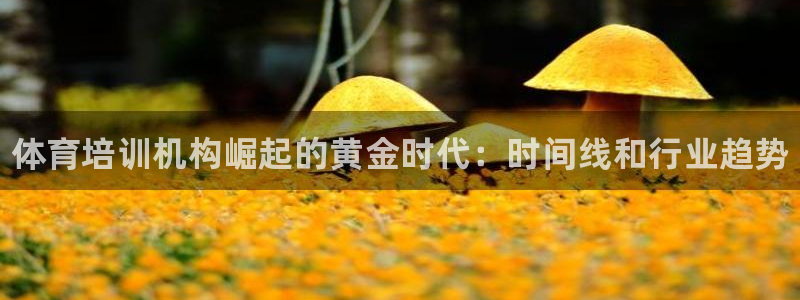 耀世娱乐是不是赚钱：体育培训机构崛起的黄金时代：时间线和行业