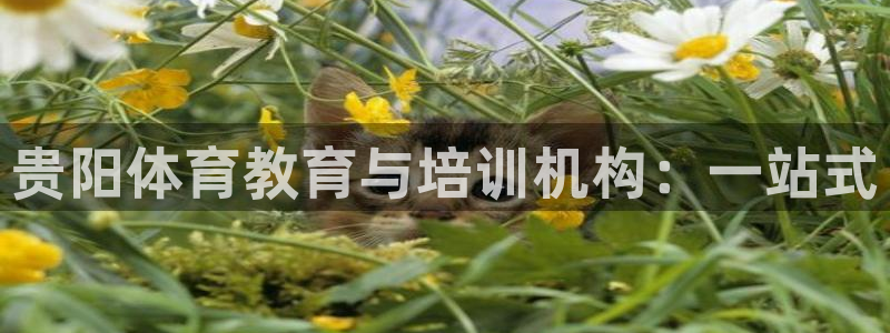 耀世集团公益