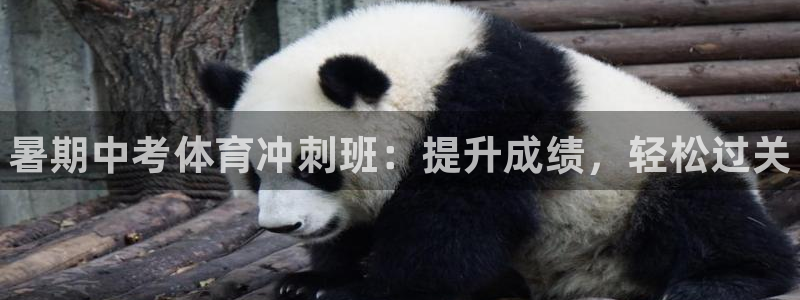 耀世平台最新注册地址是哪里：暑期中考体育冲刺班：提升