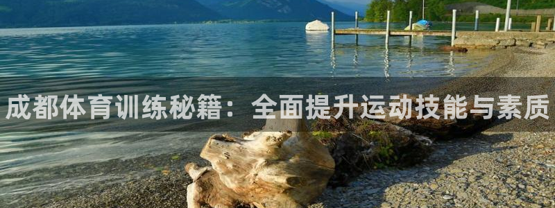 耀世平台拿什么输入账号密码呢：成都体育训练秘籍：全面提升运动