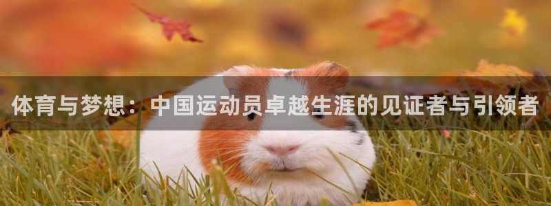 耀世娱乐是个什么平台啊