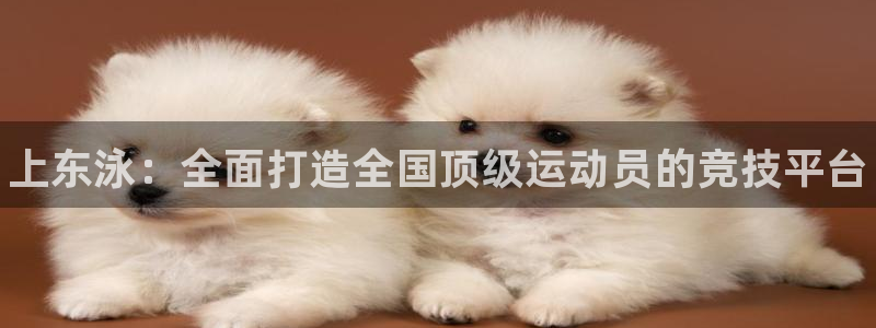 耀世平台：上东泳：全面打造全国顶级运动员的竞技平台