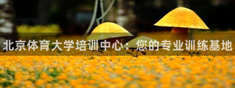 耀世挑战怎么过：北京体育大学培训中心：您的专业训练基