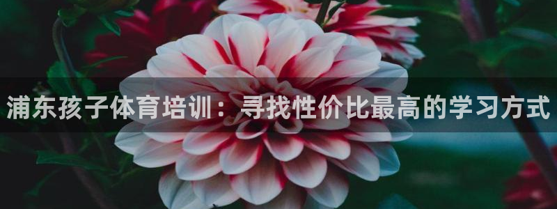 耀世国际平台正规吗可靠吗可信吗：浦东孩子体育培训：寻