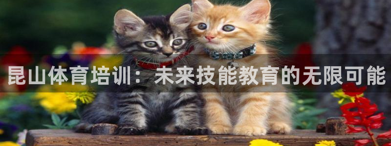 耀世娱乐官网注册：昆山体育培训：未来技能教育的无限可