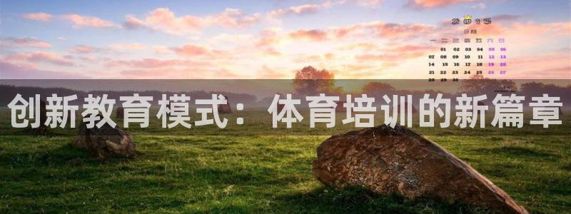 耀世平台的运营模式分析：创新教育模式：体育培训的新篇