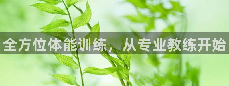耀世娱乐登陆地址查询：全方位体能训练，从专业教练开始