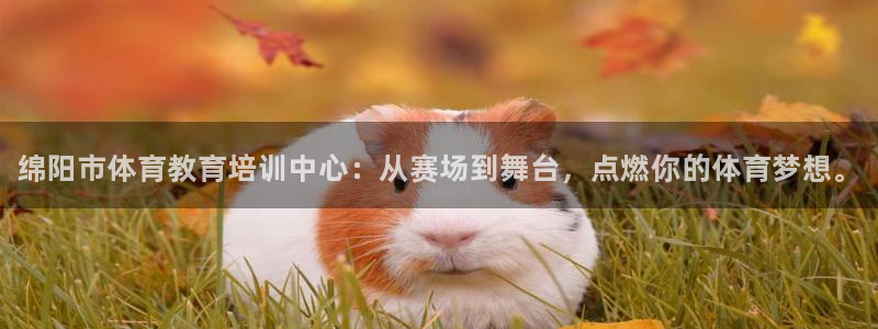 耀世平台负责人：绵阳市体育教育培训中心：从赛场到舞台，点燃你