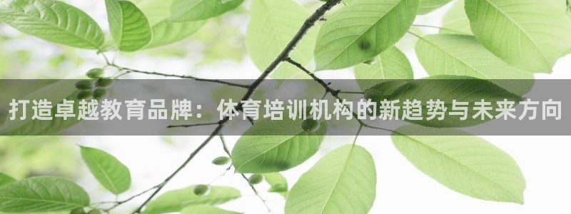 耀世集团商业联盟：打造卓越教育品牌：体育培训机构的新趋势与未