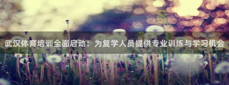 耀世平台想 58534I 平台：武汉体育培训全面启动：为复学