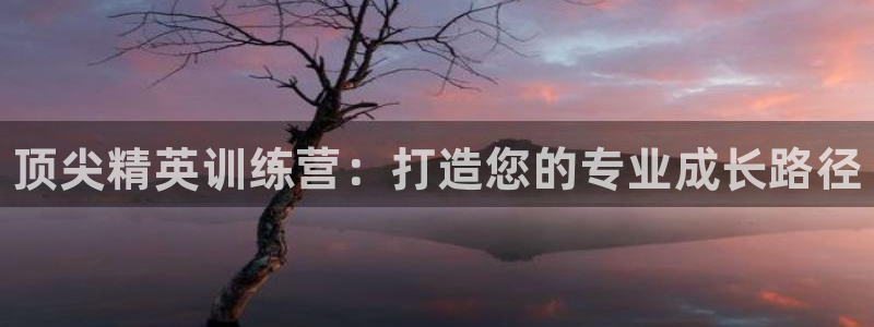 耀世娱乐圈主管：顶尖精英训练营：打造您的专业成长路径