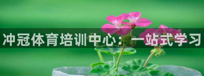 耀世娱乐注册官网网址：冲冠体育培训中心：一站式学习