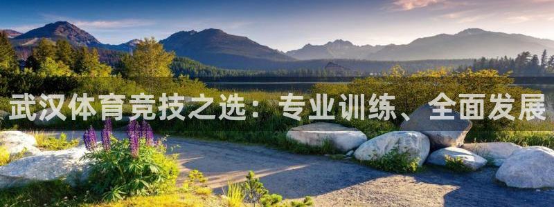 耀世娱乐目 5O6917 耀世：武汉体育竞技之选：专